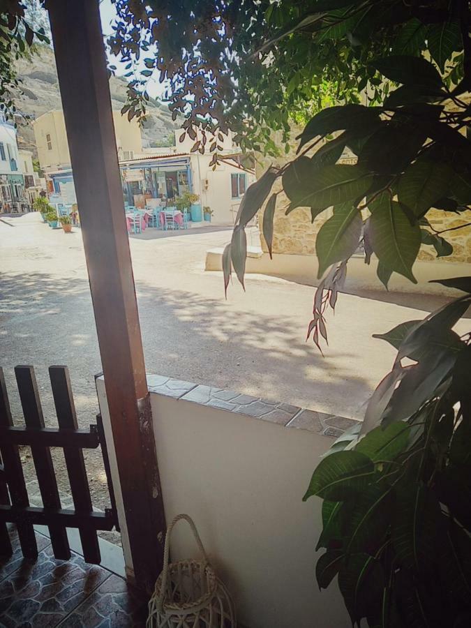 מטלה Polymnia'S Apartment מראה חיצוני תמונה